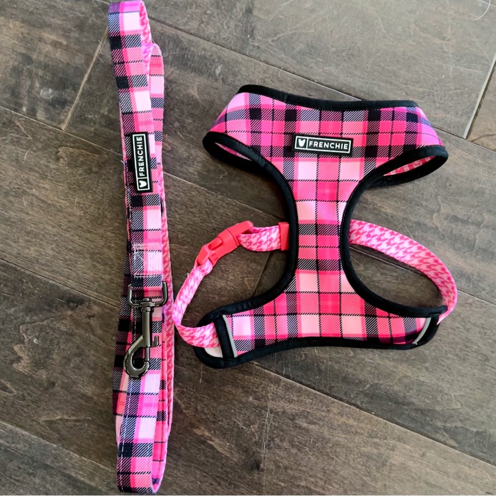 Frenchie Bulldog Harness & Leash set - Size Medium